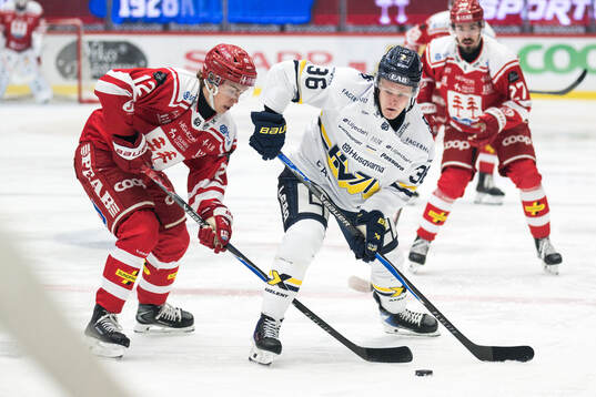 Timrås Linus Eriksson och HV71s Martin Johnsen