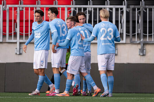 Malmö FFs spelare jublar