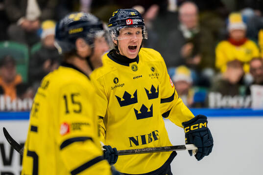 Marcus Sylvegård of Sweden