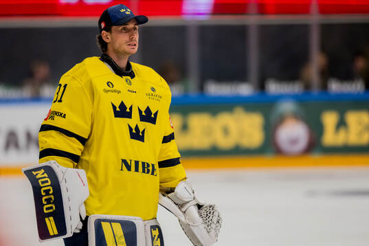 Goalkeeper Jacob Johansson of Sweden