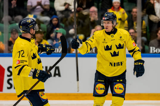 Tim Heed and Marcus Sylvegård of Sweden celebrates