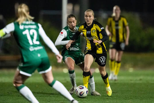 Hammarbys Doris Petz