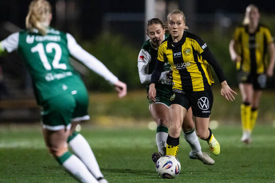 Hammarbys Doris Petz