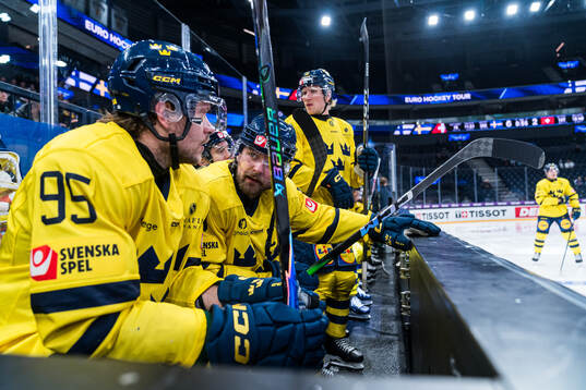 Jacob De La Rose and Linus Johansson of Sweden