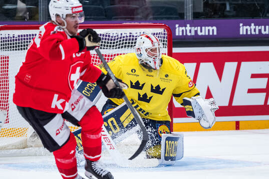 Goalkeeper Jacob Johansson of Sweden