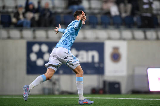 Gefles Theodor Hansemon jublar