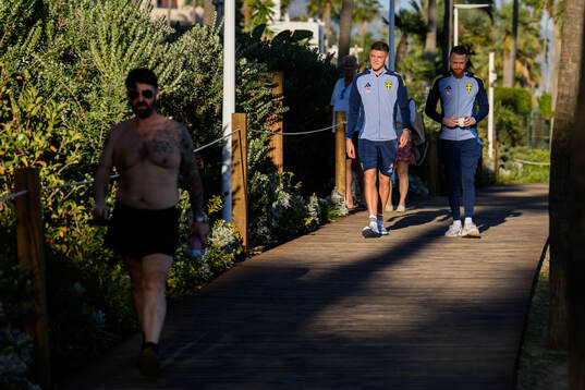 Emil Holm and goalkeeper Viktor Johansson of the Swedish