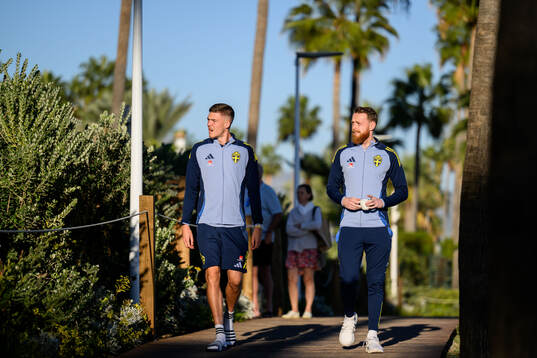 Emil Holm and goalkeeper Viktor Johansson of the Swedish