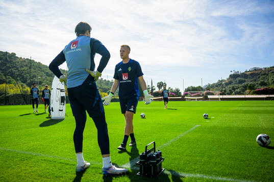 Goalkeeper Jacob Widell Zetterström and goalkeeper coach