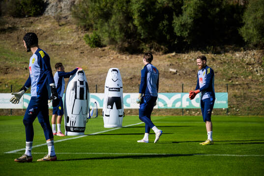 Goalkeepers Noel Törnqvist, Kristoffer Nordfeldt, Jacob