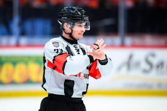 Domare Alexander Österberg