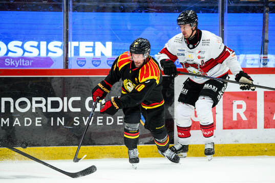 Brynäs Johan Larsson och Malmö Redhawks Johan Ivarsson