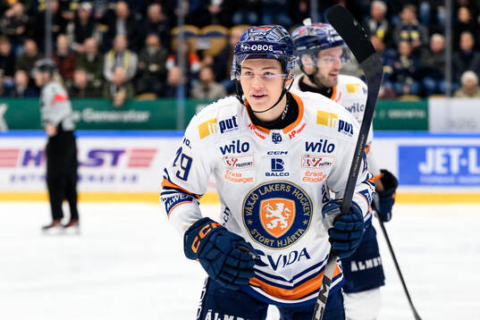 Växjös Leo Sahlin Wallenius jublar