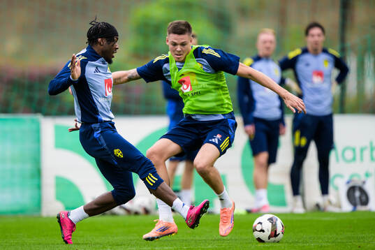 Anthony Elanga and Emil Holm of the Swedish national