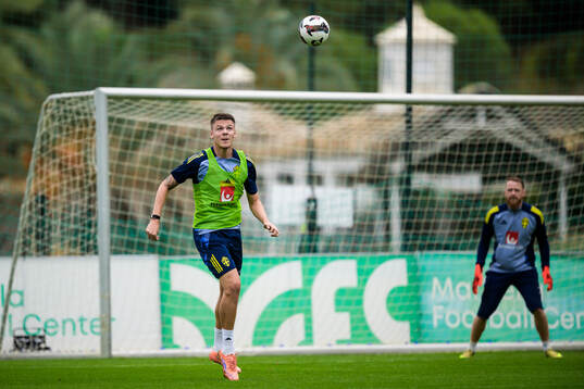 Emil Holm of the Swedish national football team