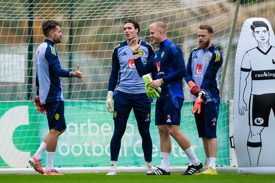 Goalkeepers Kristoffer Nordfeldt, Jacob Widell Zetterström