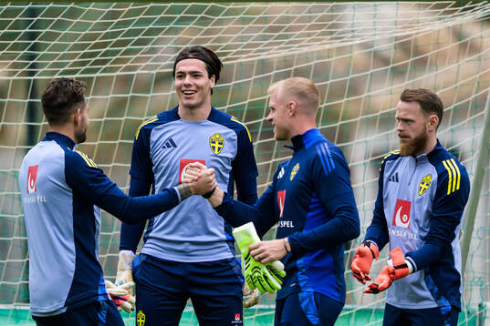 Goalkeepers Kristoffer Nordfeldt, Jacob Widell Zetterström