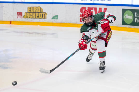 Modos Linnéa Andersson