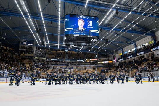 HV71s spelare jublar