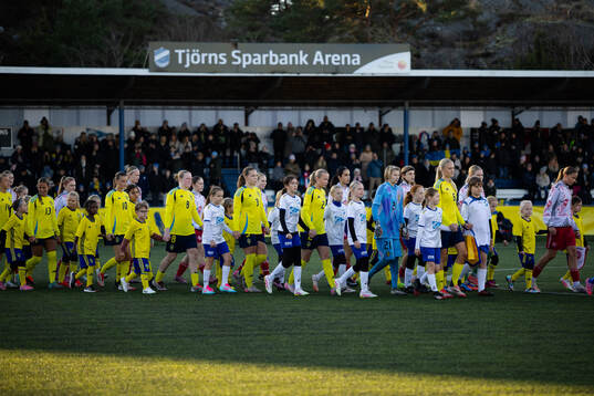 Sveriges och Danmarks spelare på väg in för line up