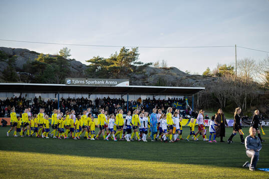 Sveriges och Danmarks spelare på väg in för line up