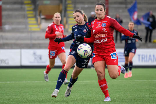 Rosengårds Anastasiya Pabiahaila och Linköpings Michelle