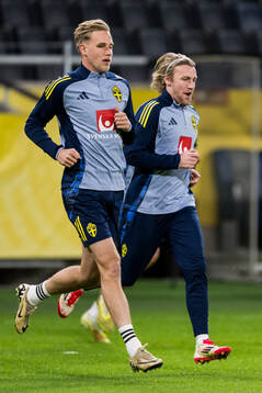 Herman Johansson and Emil Forsberg of the Swedish men's