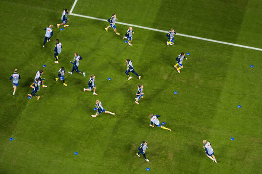 The players of Sweden