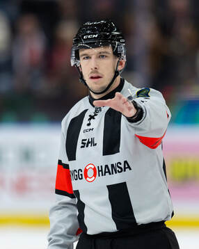 Domare Oscar Niklasson