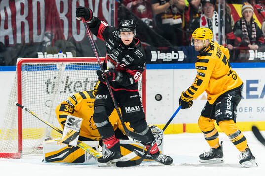 Malmö Redhawks Fredrik Händemark oroar framför