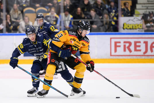 HV71s Nikola Pasic och Luleås Jesper Sellgren
