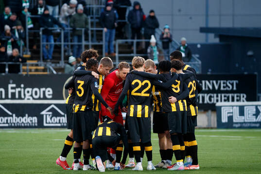 Hammarby TFFs startelva