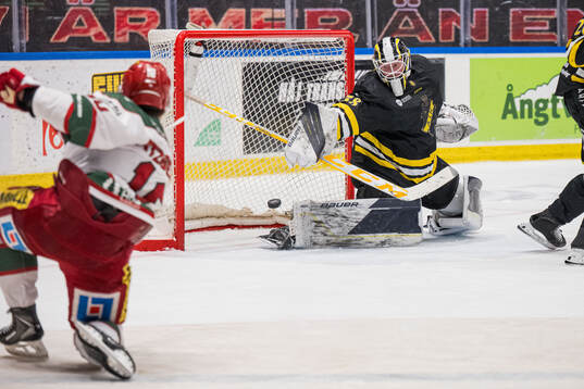 Modos Gerry Fitzgerald