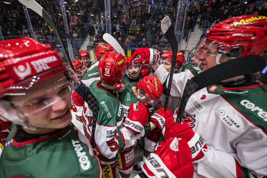 Modos Gerry Fitzgerald jublar