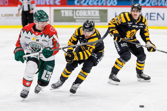 Frölundas Max Lindholm och Skellefteås Andreas Johnson