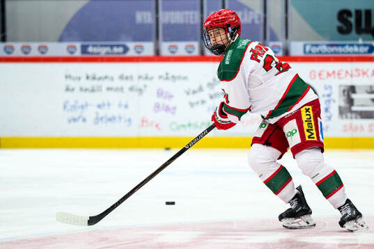 Modos Vendula Pribylova