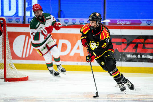 Brynäs Sara Cajanova