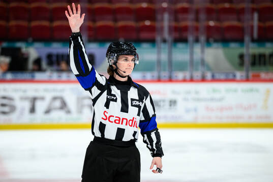 Domare Sabina Küller