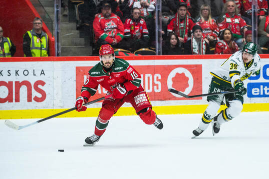 Modos Gerry Fitzgerald och Björklövens Joel Mustonen