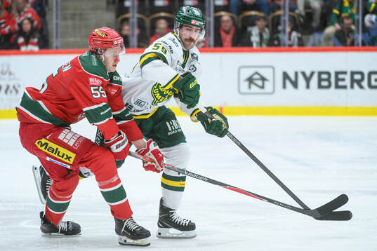 Modos Sverre Rönningen och Björklövens Theoklis