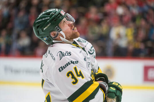 Björklövens Daniel Brodin