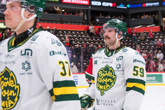 Björklövens Theoklis Theocharidis