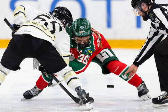 SDEs Lisa Johansson tekar mot Frölundas Emilia Bergeby