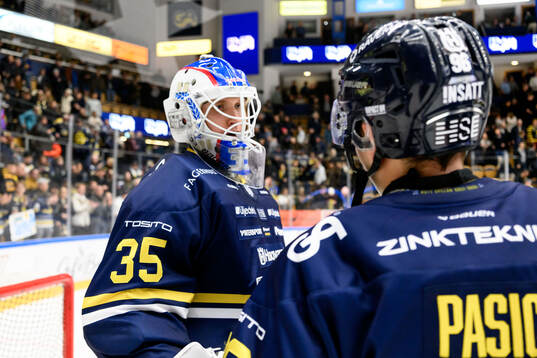 HV71s målvakt Olof Glifford jublar