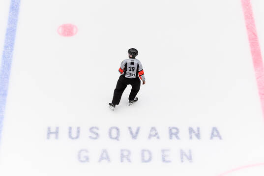 Domare Mattias Enroth