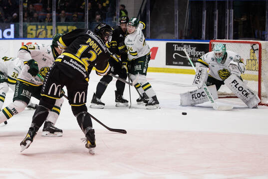 AIKs Scott Pooley och Björklövens målvakt Frans Tuohimaa