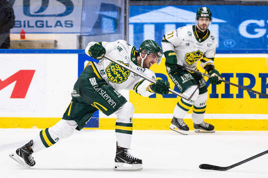 Björklövens Theoklis Theocharidis