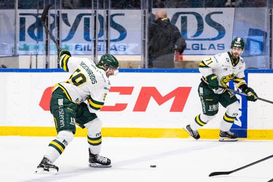 Björklövens Theoklis Theocharidis