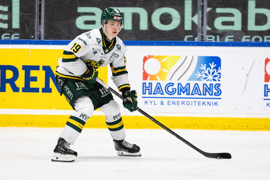 Björklövens Liam Dower Nilsson