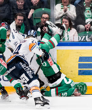 This picture is part of Bildbyrån’s selection of best